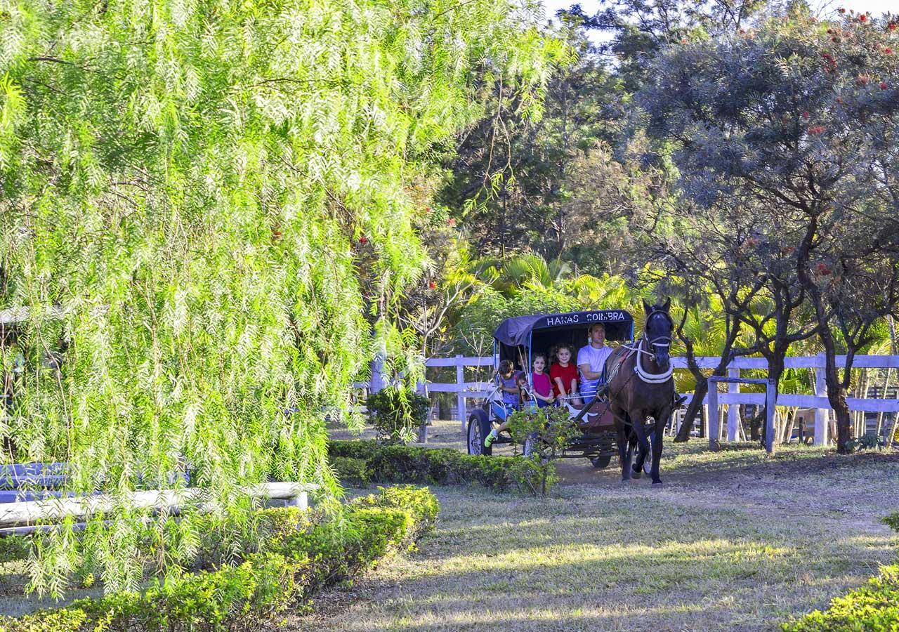Brotas Eco Hotel Fazenda Exterior foto